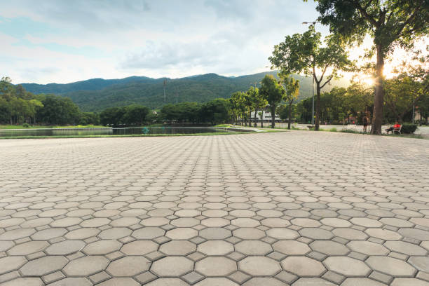 Best Interlocking Driveway Pavers  in Lamar, CO